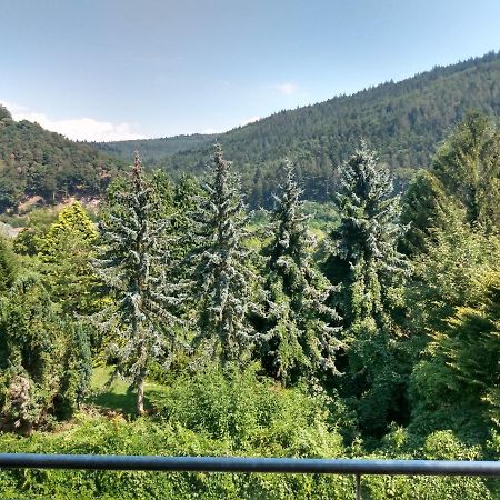 Hotel Zum Neckartal Heidelberg Zewnętrze zdjęcie