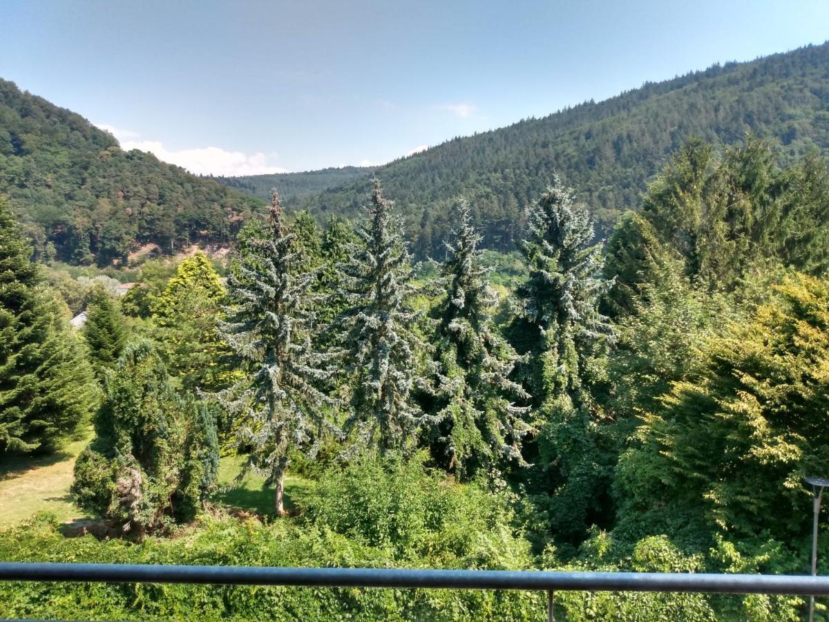Hotel Zum Neckartal Heidelberg Zewnętrze zdjęcie