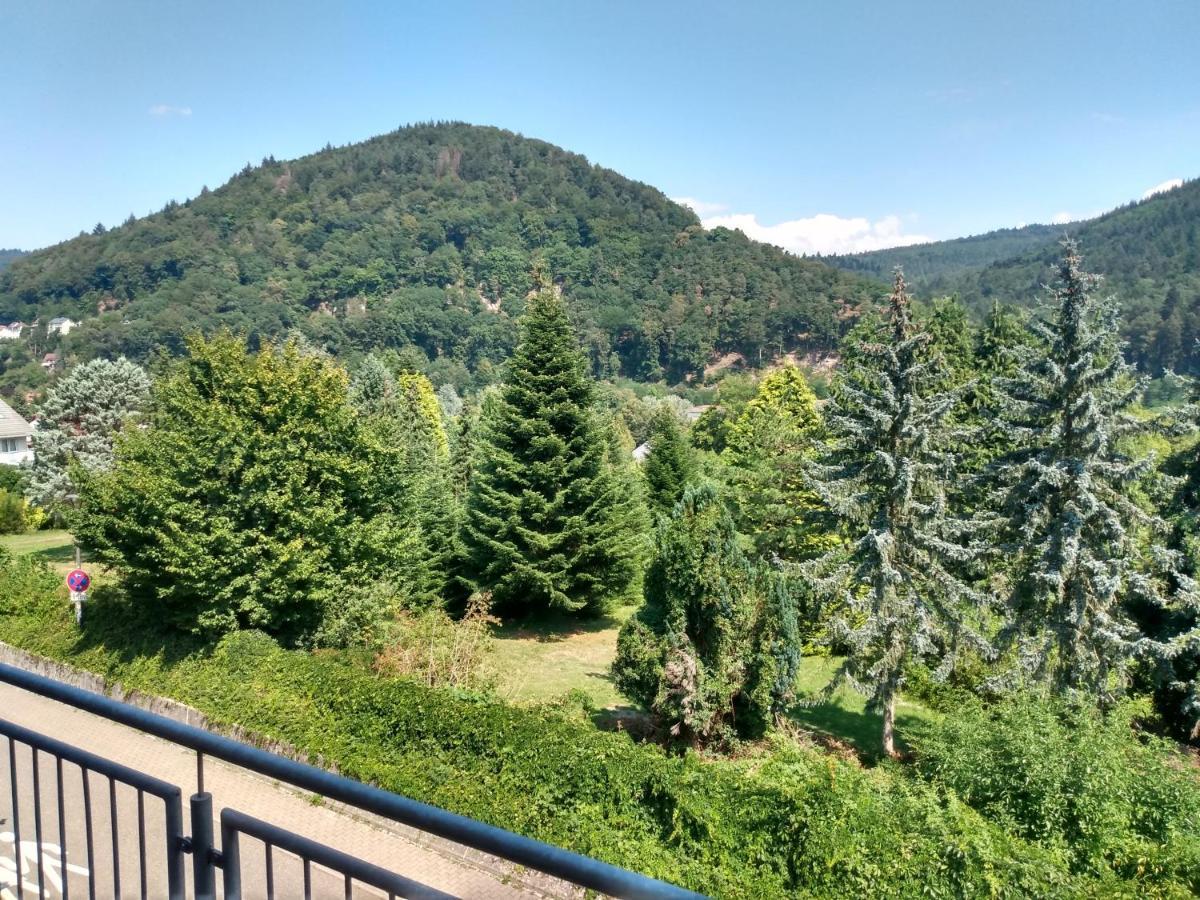 Hotel Zum Neckartal Heidelberg Zewnętrze zdjęcie