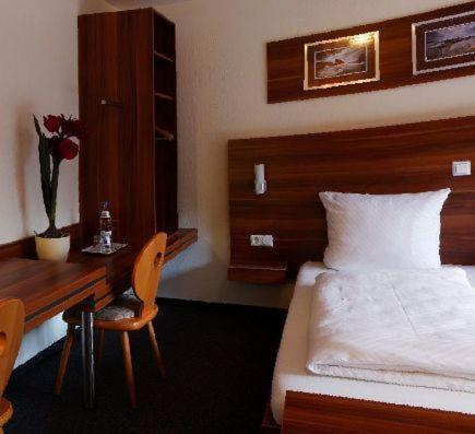 Hotel Zum Neckartal Heidelberg Pokój zdjęcie